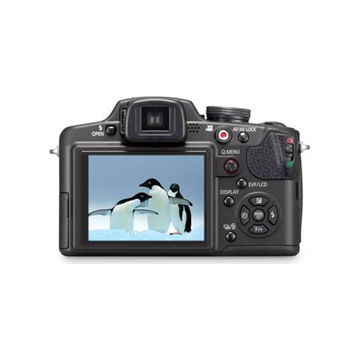 智能数码消费类显示屏